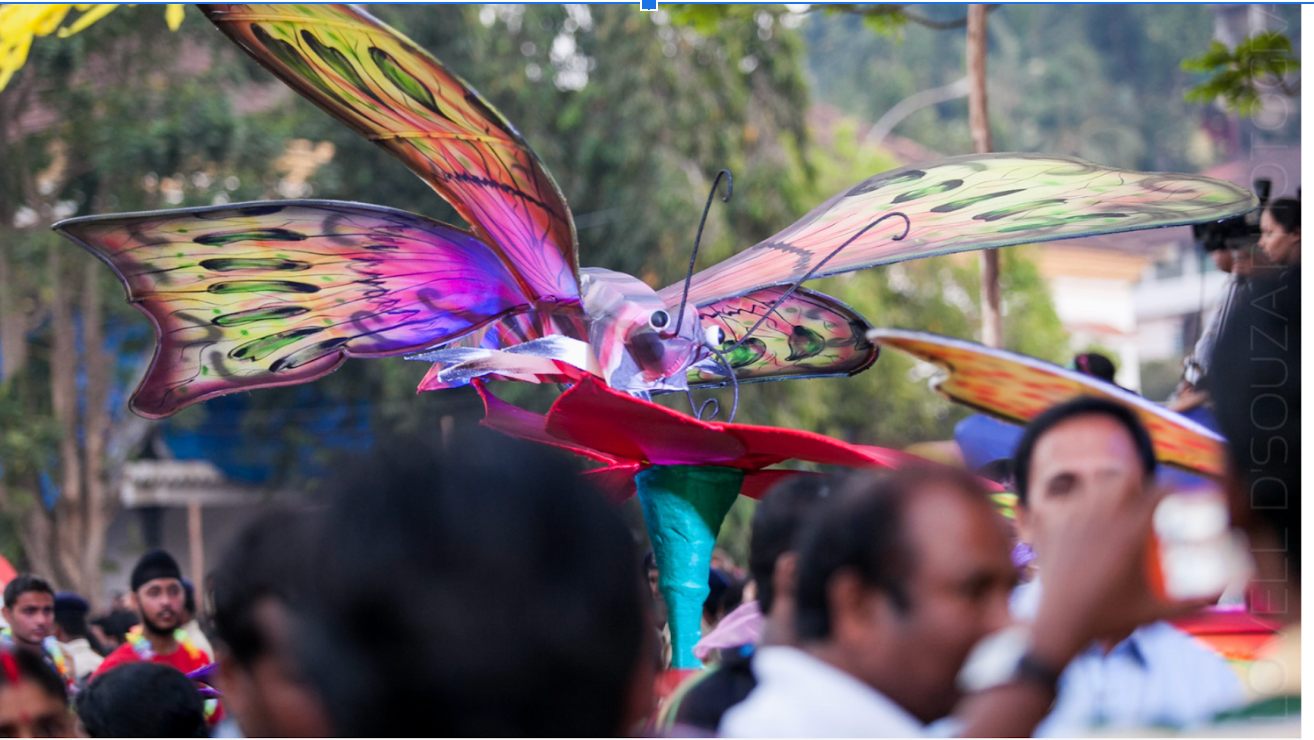 The real magic of the Goa Carnival is in the way it unites people.
